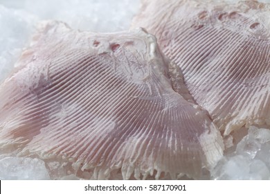 Fresh Raw Skate Fish Wings On Ice Close Up,