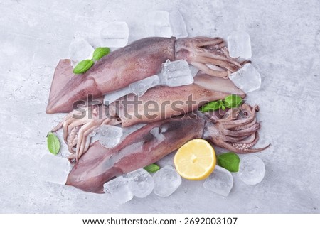 Fresh raw squids with ice, basil and lemon on grey table, top view