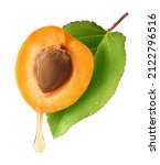Fresh raw sweet Apricot with green leaves isolated on white background. Apricot oil dripping from the seed. High resolution collection