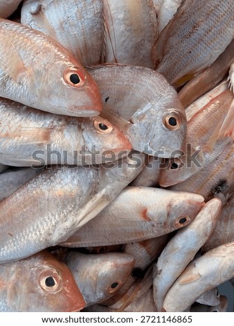 Fresh Raw Threadfin Bream Fish At Local Seafood Market Stall