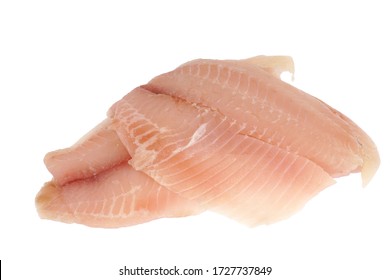 Fresh Raw Tilapia Fish Fillet Isolated On White Background