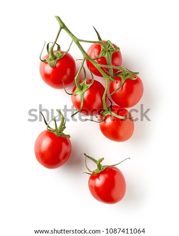 fresh raw tomatoes isolated on white background, top view
