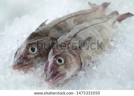Fresh raw whole haddock fish on ice in the shop Foto d'archivio © 