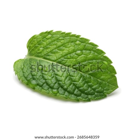 Fresh, realistic single mint leaf (podina) with water droplets, isolated on a clean white background.