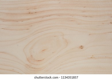 Fresh Red Alder Tree Wood Texture With Veins
