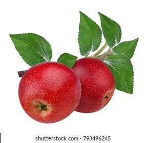 Fresh red apples with leafs isolated on white background with clipping path