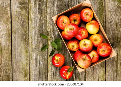 Fresh red apples on wooden table