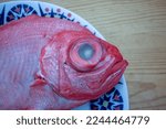 a fresh red bream or beryx decadactylus