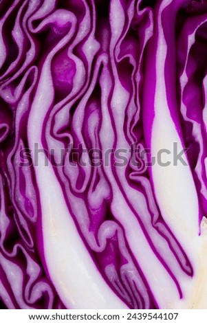 Fresh red cabbage. Half of red cabbage. Texture of red cabbage