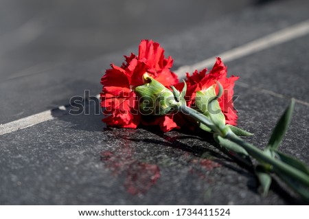 fresh red carnations on a marble black monument
