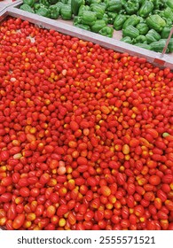 Fresh red cherry tomatoes sold at the market in Johor, 30 Nov 2024. A close up image of cherry tomatoes. 