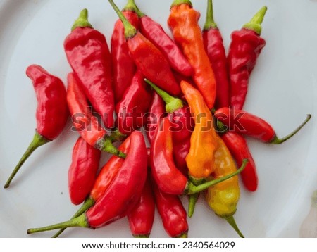 fresh red chilies and very spicy, in Indonesia it called cabai rawit or cengek domba is one of the hottest pepper in the world. Isolated on white plate