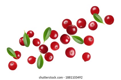 Fresh Red Cranberries Falling On White Background