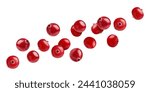 Fresh red cranberries flying on white background