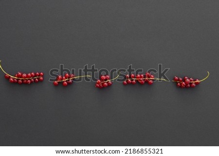 Fresh Red currant berries on black background closeup