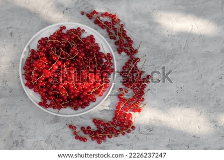 Similar – Image, Stock Photo Bowl full of ripe cherries in the sunlight