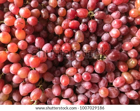 Fresh red grapes for background, backdrop, wallpaper, or space copy.  Red grape or Vitis vinifera is popular fruit for everyone who love sweet flovor.