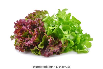 Fresh red and green lettuce isolated on white background.