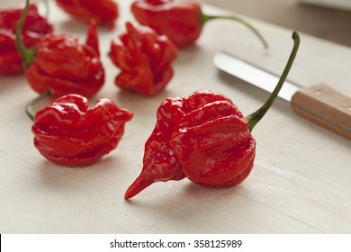 Fresh red hot scorpion chili peppers