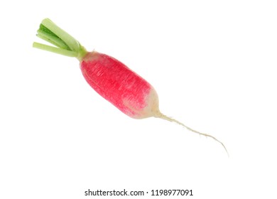 Long Radish Images Stock Photos Vectors Shutterstock