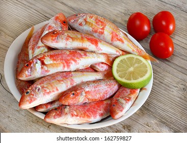 Fresh Red Mullet