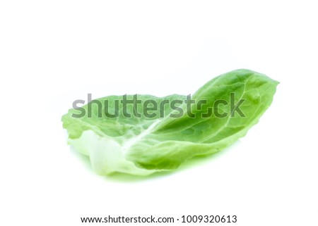 fresh red oak and lettuce isolated on white background