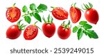 Fresh red plum tomatoes isolated on white background. Tomato set - whole, cut, half, slice and tomato leaf. Perfect natural tomatoes not AI.