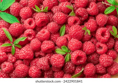 Fresh red ripe raspberries. Raspberries background. 
