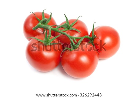 Fresh red ripe tomatoes on the vine. Isolated on white Background
