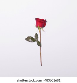 34,592 Overhead roses Images, Stock Photos & Vectors | Shutterstock