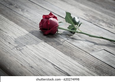 Fresh red rose on vintage wooden background