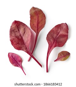 Fresh Red Salad Leaves Isolated On White Background, Top View