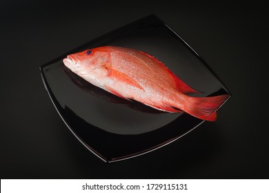 Fresh Red Snapper (maya-maya) Fish On A Black Square Plate Top View