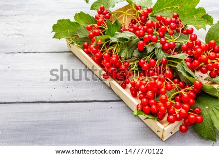 Similar – Foto Bild Herbstkälte Natur Pflanze