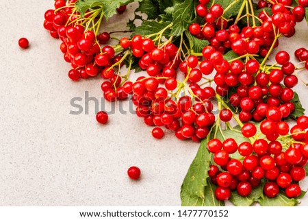 Similar – Foto Bild Herbstkälte Natur Pflanze