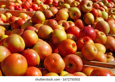 Fresh red and yellow apples at a farmers market