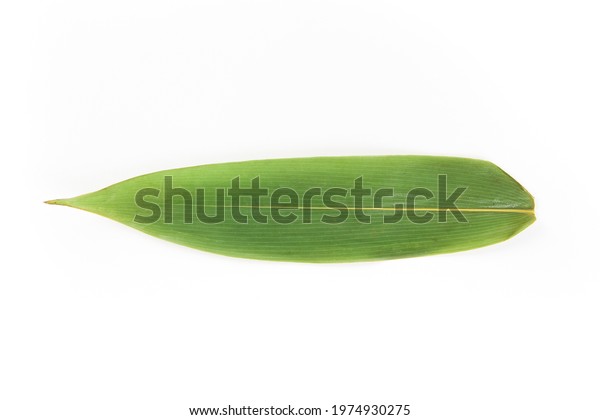 a fresh reed leaf isolated on white\
background,rice dumpling\
ingredient