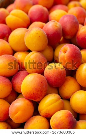 fresh ripe apricots background, close up