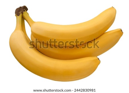 Fresh ripe bananas isolated on white background. Clipping path for design