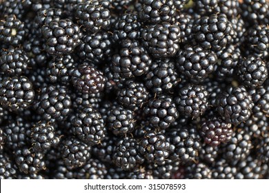 Fresh ripe blackberries. Food background.