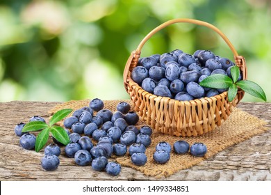 17,752 Blueberry basket Images, Stock Photos & Vectors | Shutterstock