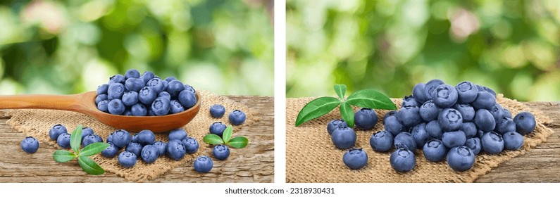 fresh ripe blueberry in wooden spoon on the old rustic table with blurred garden background - Powered by Shutterstock