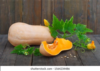 Fresh, Ripe Butternut Pumpkin On Wooden Background. Butternut Squash With Plant Leaves And Flowers. Healthy Vegetable.
