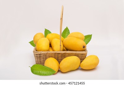 Fresh ripe chaunsa mangoes with green leaf and basket on white