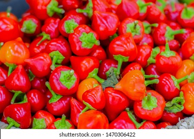 Fresh Ripe Cherry Ball Pepper, Pimento Or Red Sweet Chilli Peppers Set Background Wallpaper