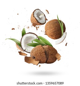 Fresh Ripe Coconut Isolated 