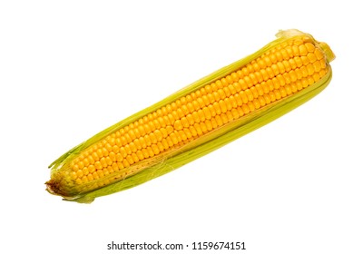 Fresh Ripe Corn On White Background