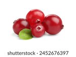 Fresh ripe cranberries with leaves isolated on white