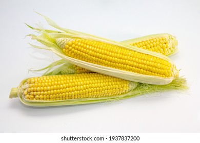 Fresh Ripe Golden Sweet Corn Cobs On White Background