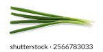 Fresh ripe green onions isolated on white